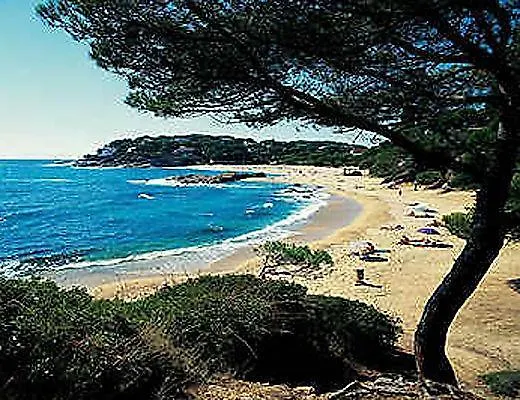 Evenia Olympic Palace Lloret de Mar Spain